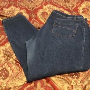 Faded Glory Denim Jeggings size 2x
